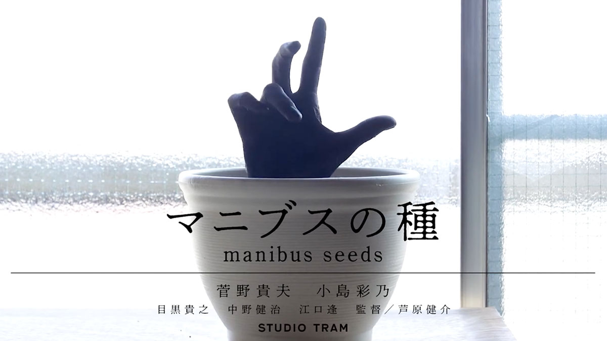 マニブスの種